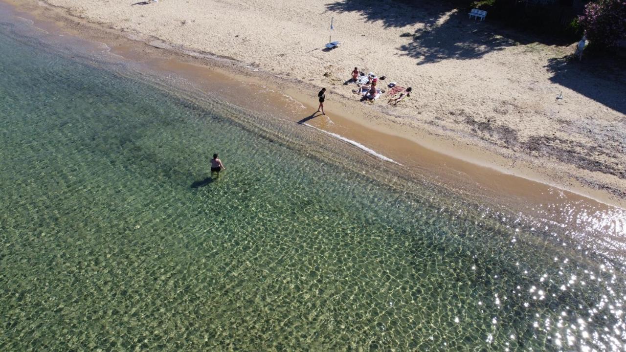 Beachfront Apartment Thassos Skála Kallirákhis المظهر الخارجي الصورة