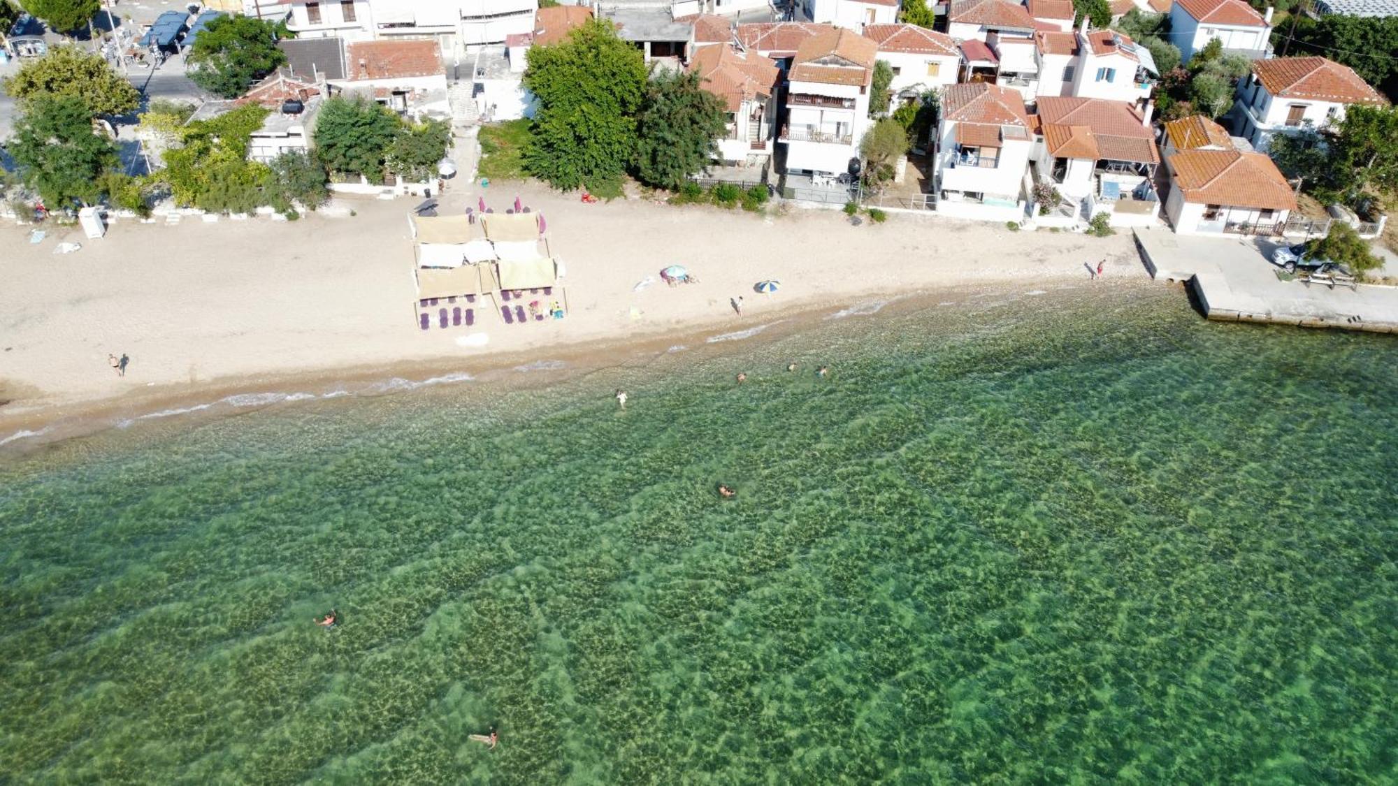 Beachfront Apartment Thassos Skála Kallirákhis المظهر الخارجي الصورة