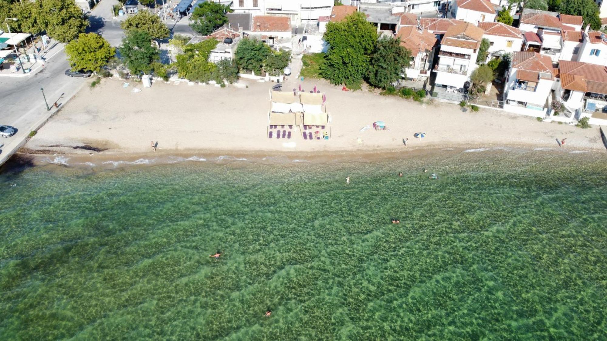 Beachfront Apartment Thassos Skála Kallirákhis الغرفة الصورة